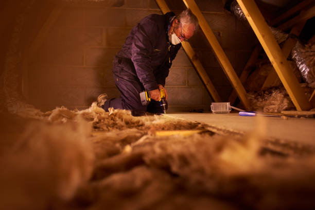 Best Cellulose Insulation in Moyie Springs, ID